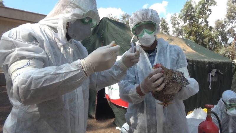 خطر تهدید امنیت غذایی به سبب نبود دیده بان زیستی دراستان